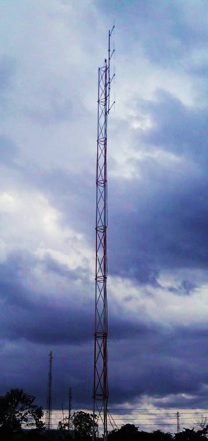 2 Way Stacked Dipole FM Transmitter Antenna