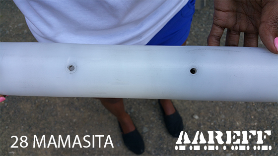 Assembling the Mamasita